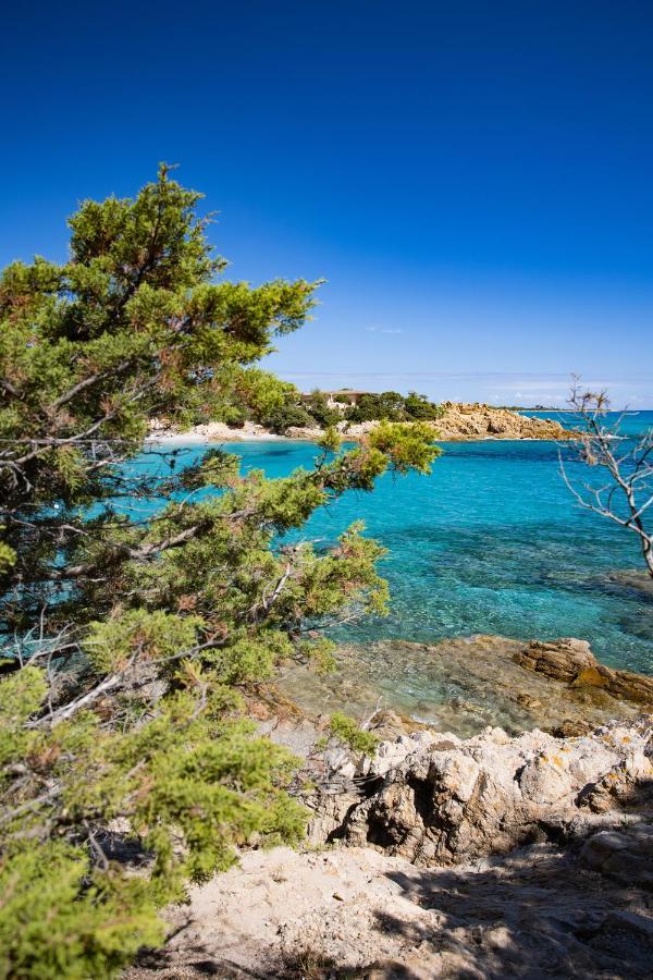 Tirreno Resort กาลา ลีเบรอตโต ภายนอก รูปภาพ